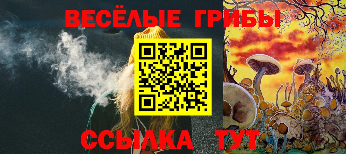 Галлюциногенные грибы Psilocybe Десногорск