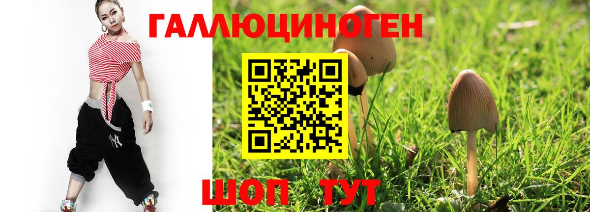 Десногорск  Галлюциногенные грибы Magic Shrooms  Вход с VPN 